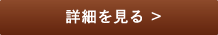 詳細を見る